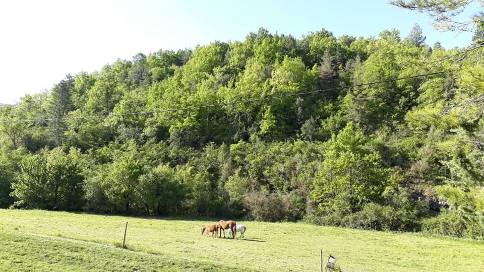 Gites Du Domaine De Serre Long Saint-Maurice-dʼIbie Exteriér fotografie